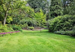 Optimiser l'expérience du jardin à Annot