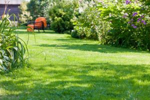 travaux jardin et paysage Annot